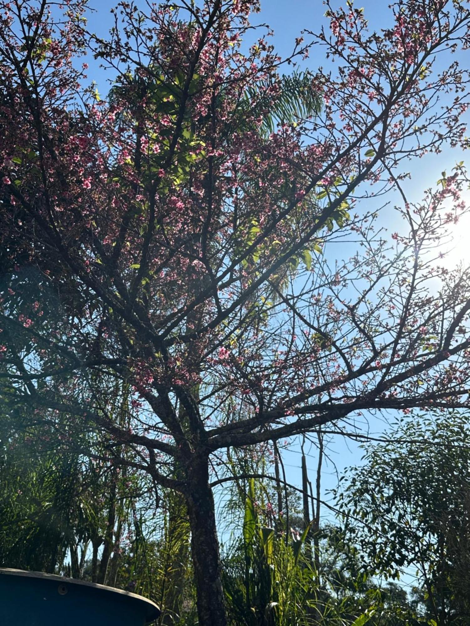 Morada Dos Beija-Flores Ібіуна Екстер'єр фото